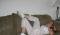 alisonmadison97